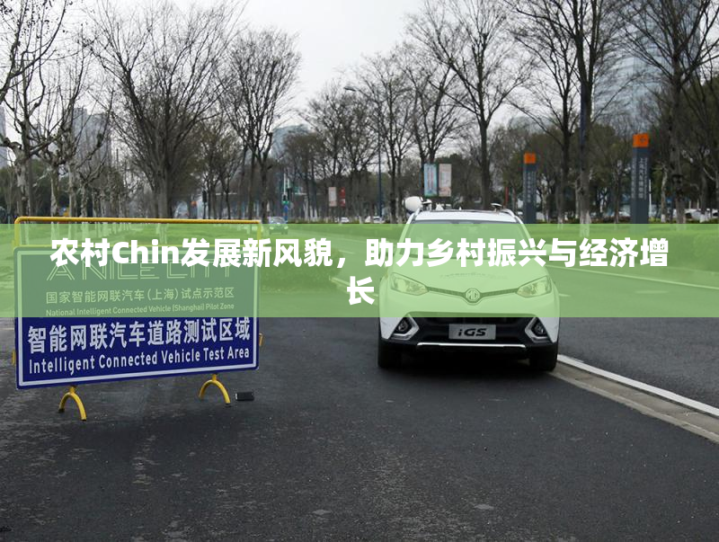 农村Chin发展新风貌，助力乡村振兴与经济增长
