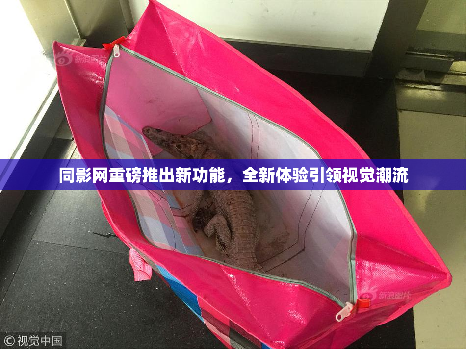 同影网重磅推出新功能，全新体验引领视觉潮流