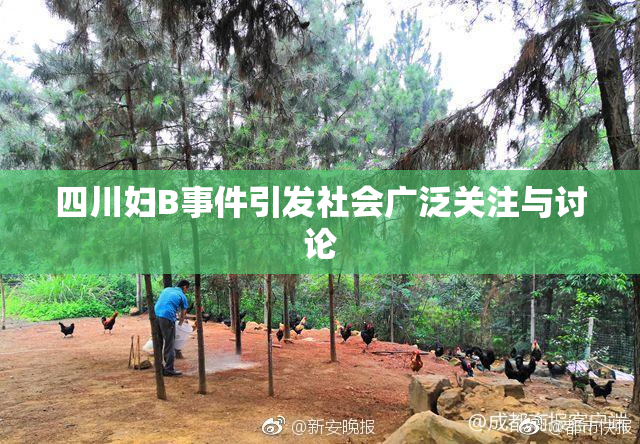 四川妇B事件引发社会广泛关注与讨论