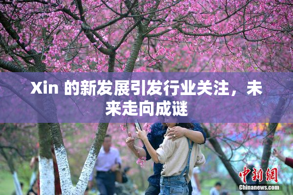 Xin 的新发展引发行业关注，未来走向成谜