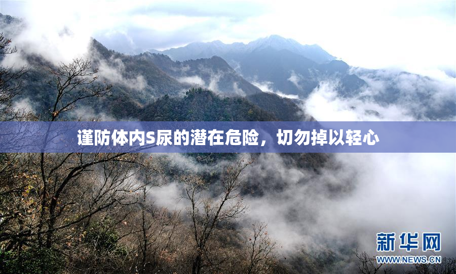 谨防体内S尿的潜在危险，切勿掉以轻心
