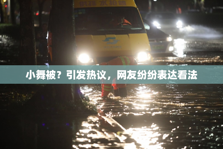 小舞被？引发热议，网友纷纷表达看法