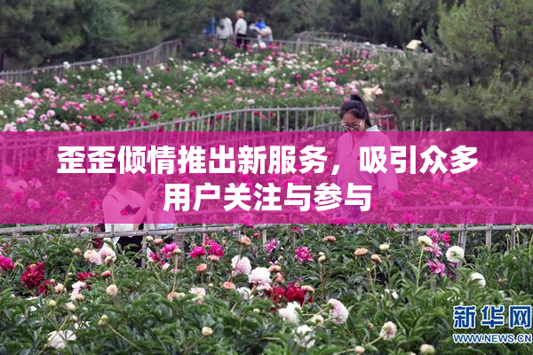 歪歪倾情推出新服务，吸引众多用户关注与参与