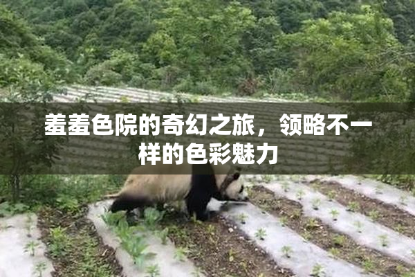 羞羞色院的奇幻之旅，领略不一样的色彩魅力