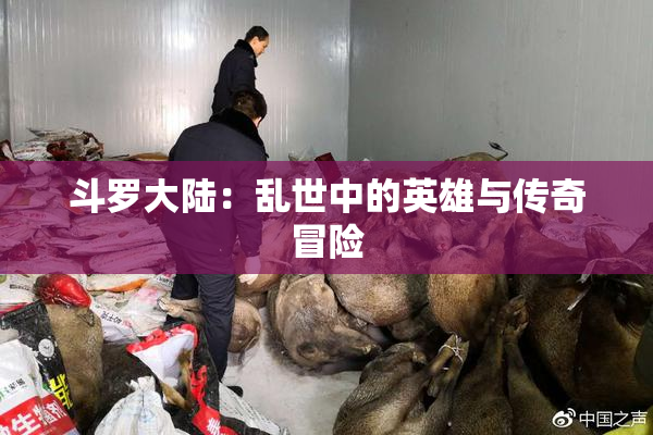 斗罗大陆：乱世中的英雄与传奇冒险