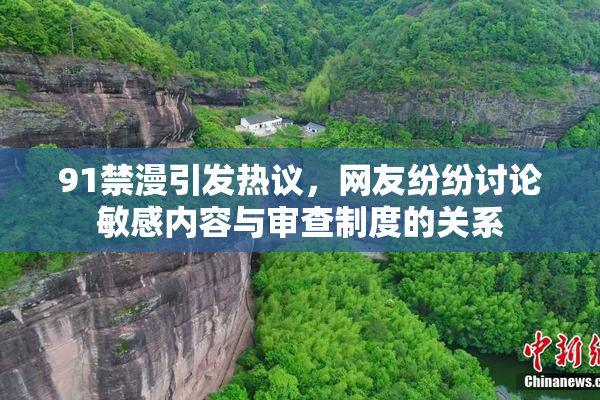 91禁漫引发热议，网友纷纷讨论敏感内容与审查制度的关系