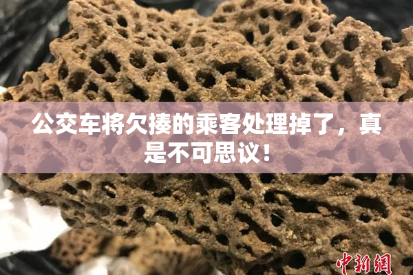 公交车将欠揍的乘客处理掉了，真是不可思议！