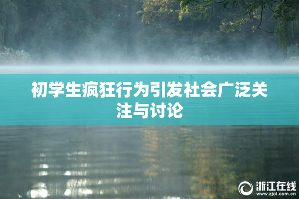 初学生疯狂行为引发社会广泛关注与讨论