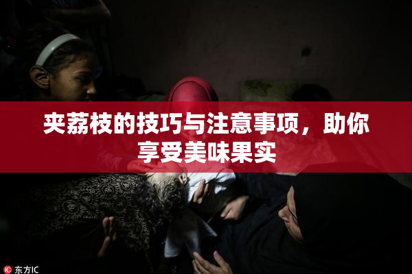 夹荔枝的技巧与注意事项，助你享受美味果实