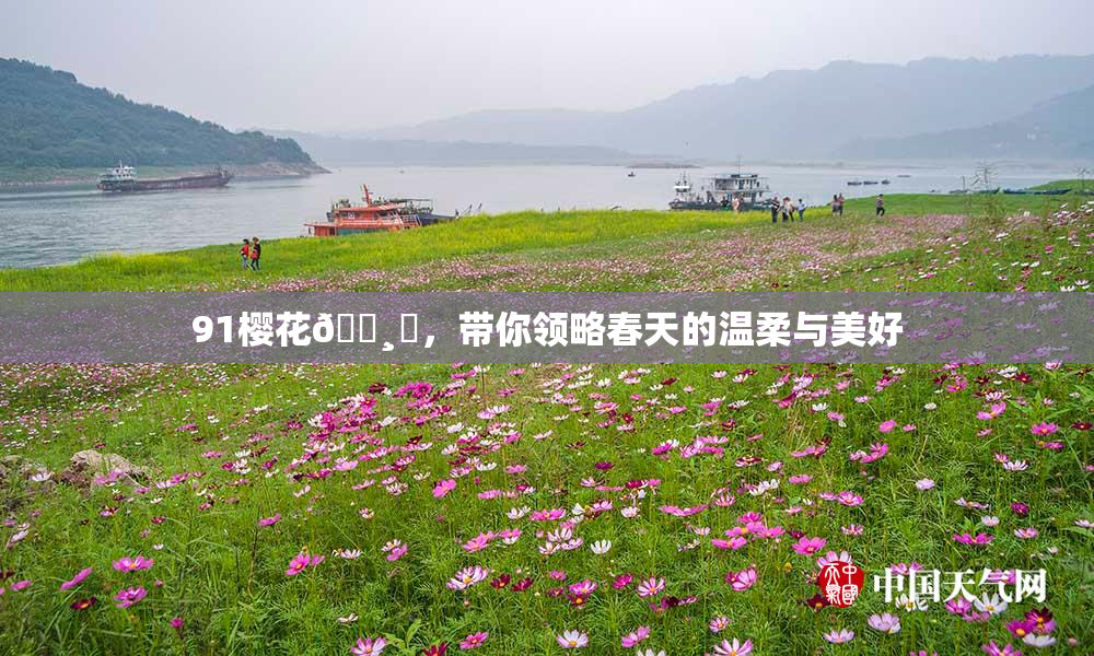 91樱花🌸‌，带你领略春天的温柔与美好