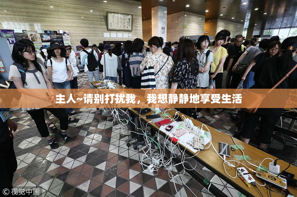 主人~请别打扰我，我想静静地享受生活