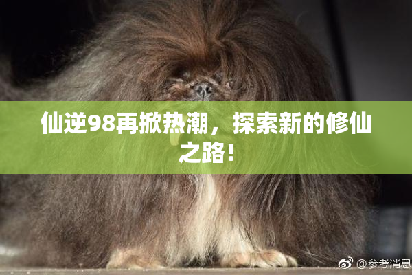 仙逆98再掀热潮，探索新的修仙之路！