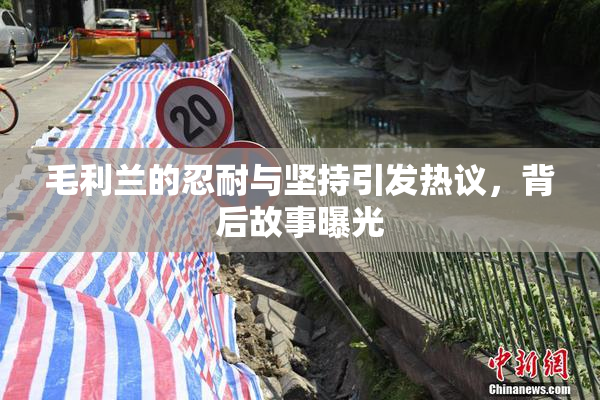 毛利兰的忍耐与坚持引发热议，背后故事曝光