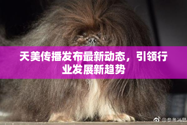 天美传播发布最新动态，引领行业发展新趋势