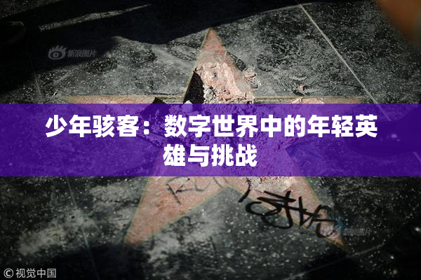 少年骇客：数字世界中的年轻英雄与挑战