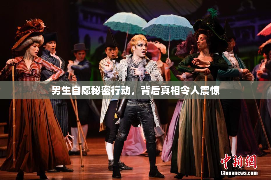 男生自愿秘密行动，背后真相令人震惊