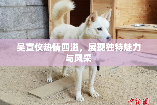 吴宣仪热情四溢，展现独特魅力与风采