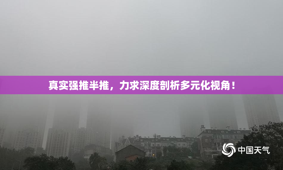 真实强推半推，力求深度剖析多元化视角！