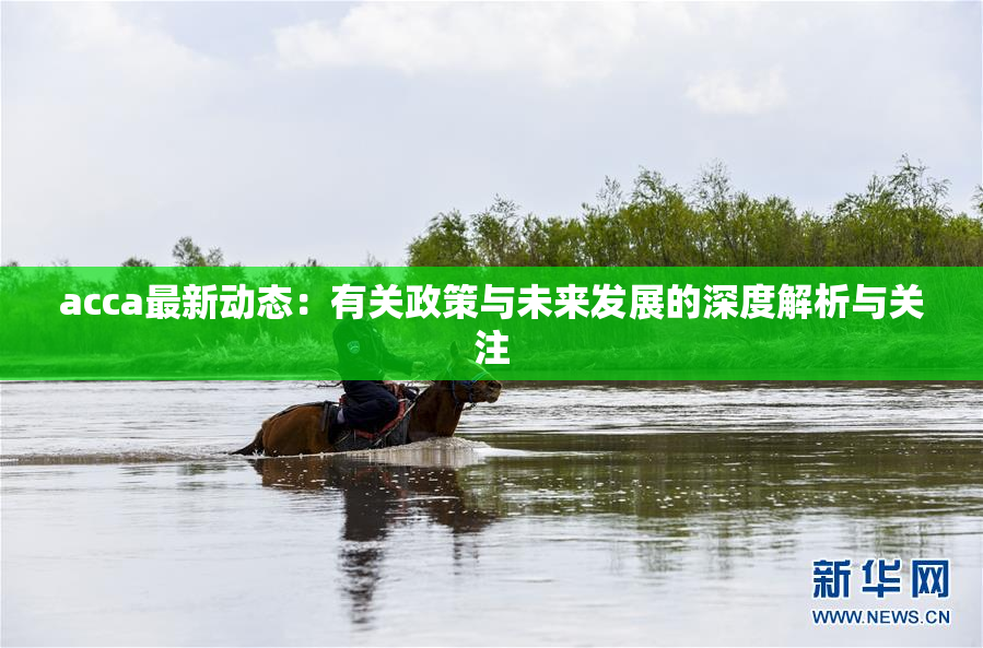 acca最新动态：有关政策与未来发展的深度解析与关注