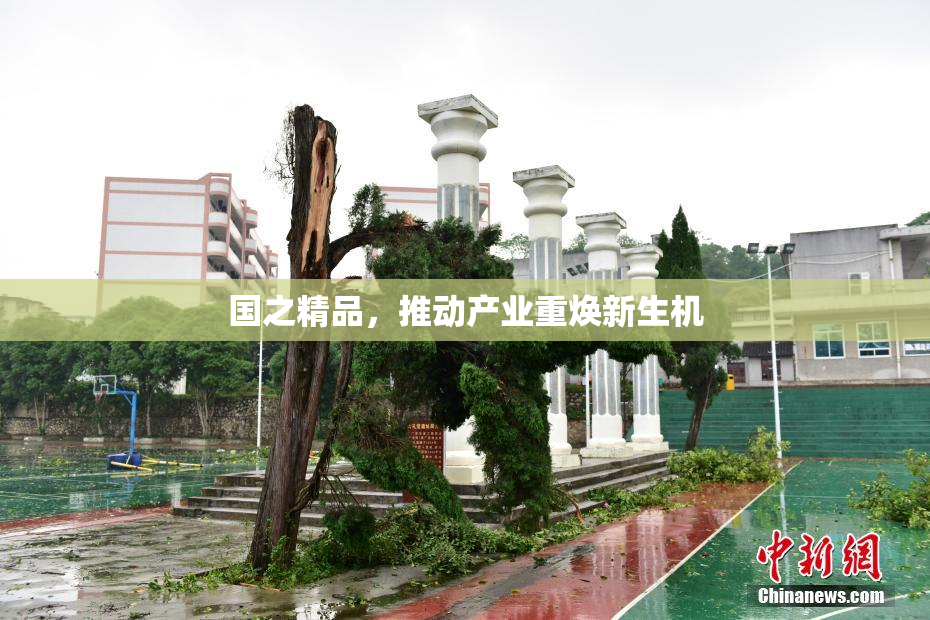 国之精品，推动产业重焕新生机