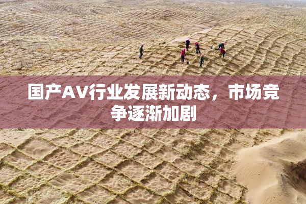 国产AV行业发展新动态，市场竞争逐渐加剧