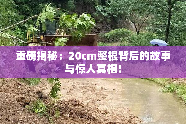 重磅揭秘：20cm整根背后的故事与惊人真相！