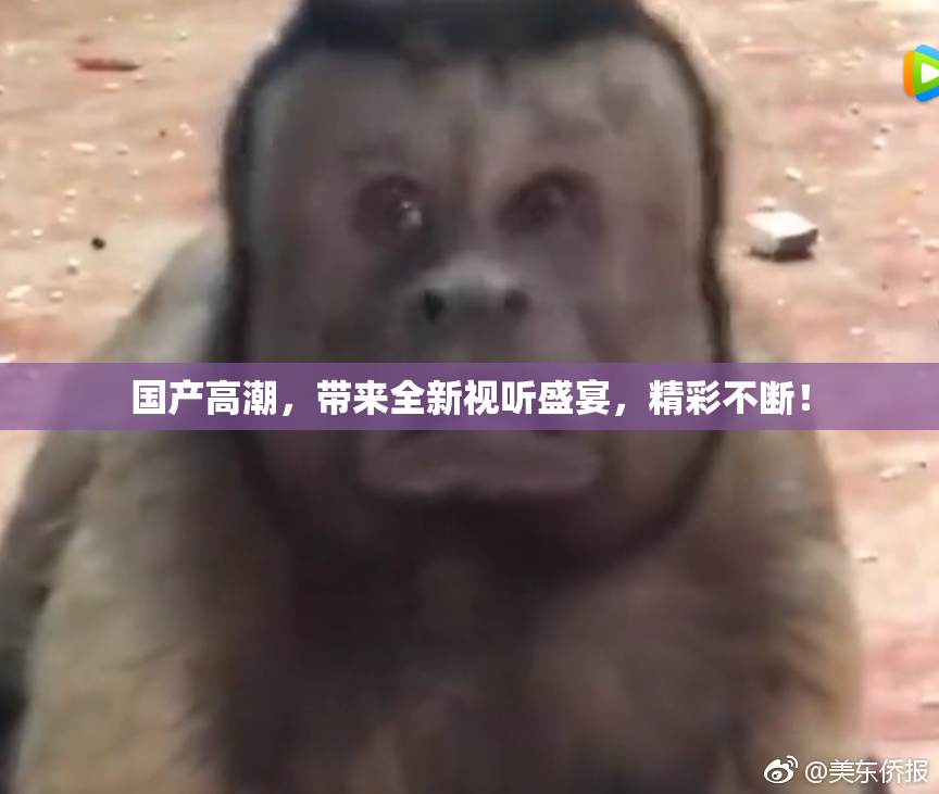国产高潮，带来全新视听盛宴，精彩不断！