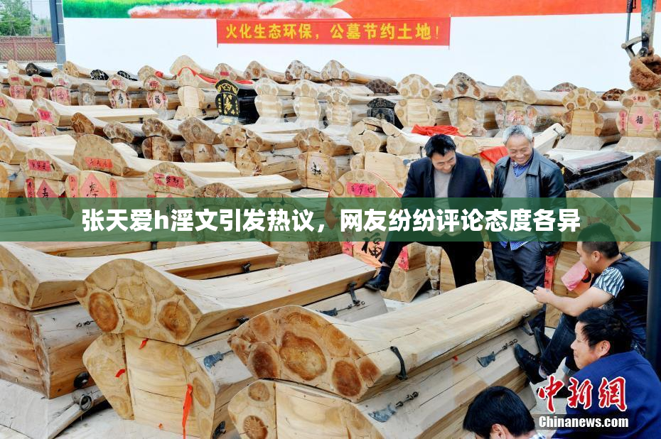 张天爱h淫文引发热议，网友纷纷评论态度各异