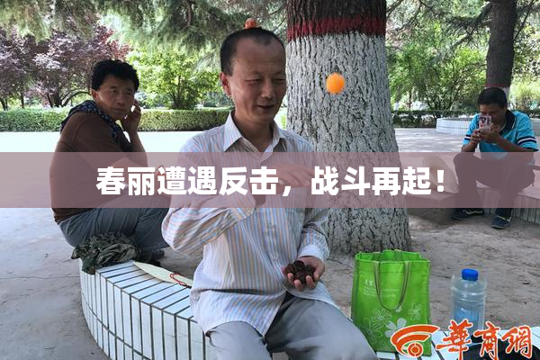 春丽遭遇反击，战斗再起！