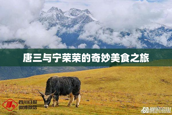唐三与宁荣荣的奇妙美食之旅