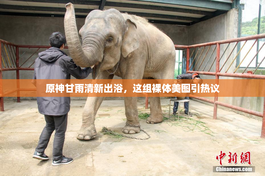 原神甘雨清新出浴，这组裸体美图引热议