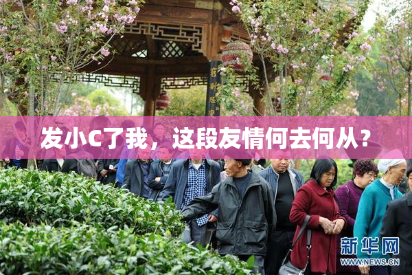发小C了我，这段友情何去何从？