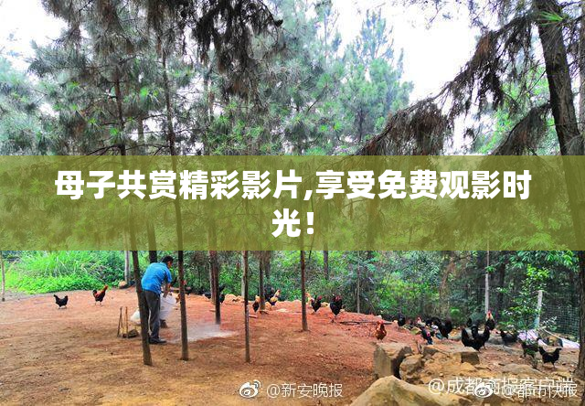 母子共赏精彩影片,享受免费观影时光！