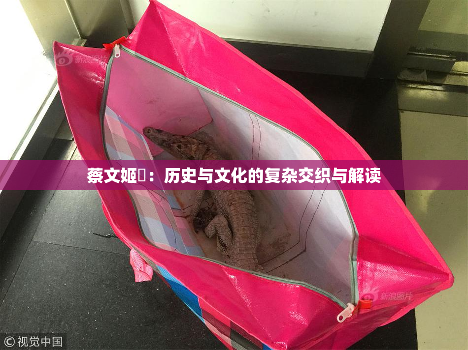 蔡文姬婬：历史与文化的复杂交织与解读