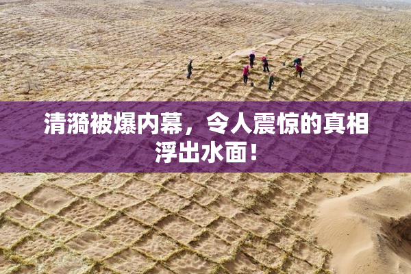 清漪被爆内幕，令人震惊的真相浮出水面！