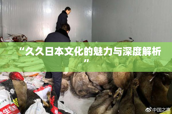 “久久日本文化的魅力与深度解析”