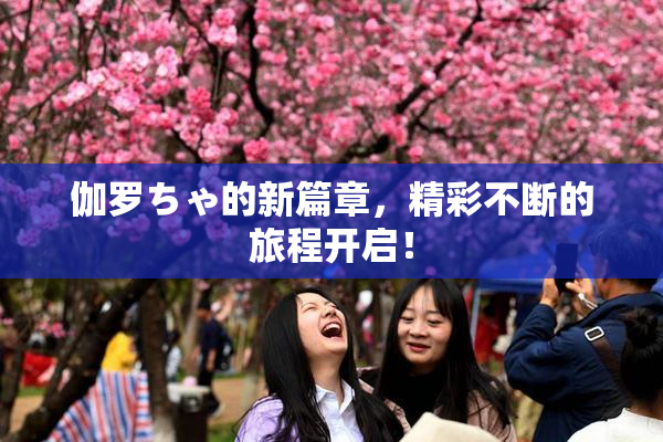 伽罗ちゃ的新篇章，精彩不断的旅程开启！