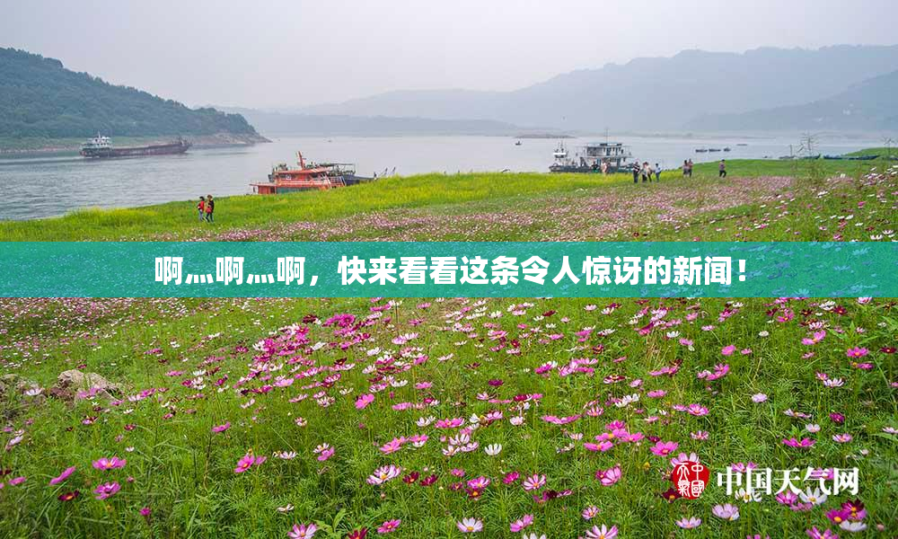 啊灬啊灬啊，快来看看这条令人惊讶的新闻！