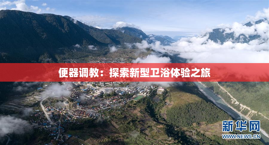 便器调教：探索新型卫浴体验之旅