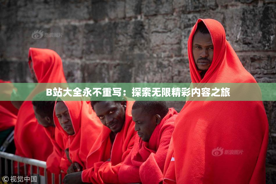B站大全永不重写：探索无限精彩内容之旅