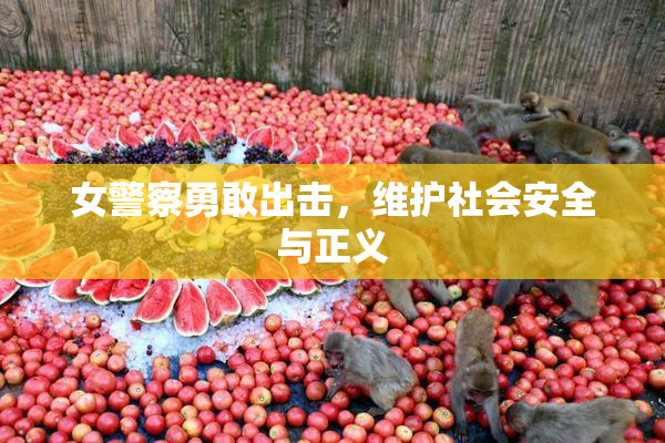 女警察勇敢出击，维护社会安全与正义