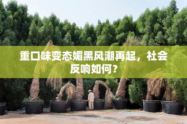 重口味变态媚黑风潮再起，社会反响如何？