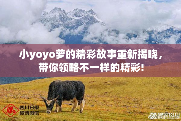 小yoyo萝的精彩故事重新揭晓，带你领略不一样的精彩!