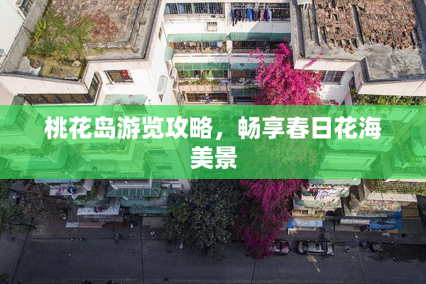 桃花岛游览攻略，畅享春日花海美景