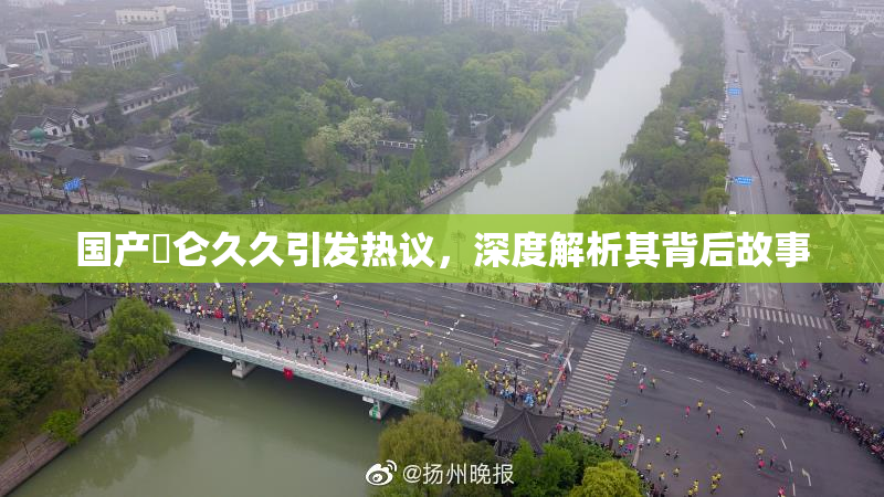 国产婬仑久久引发热议，深度解析其背后故事