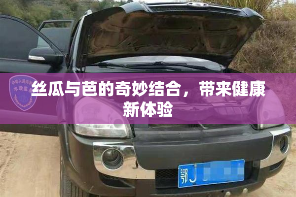 丝瓜与芭的奇妙结合，带来健康新体验