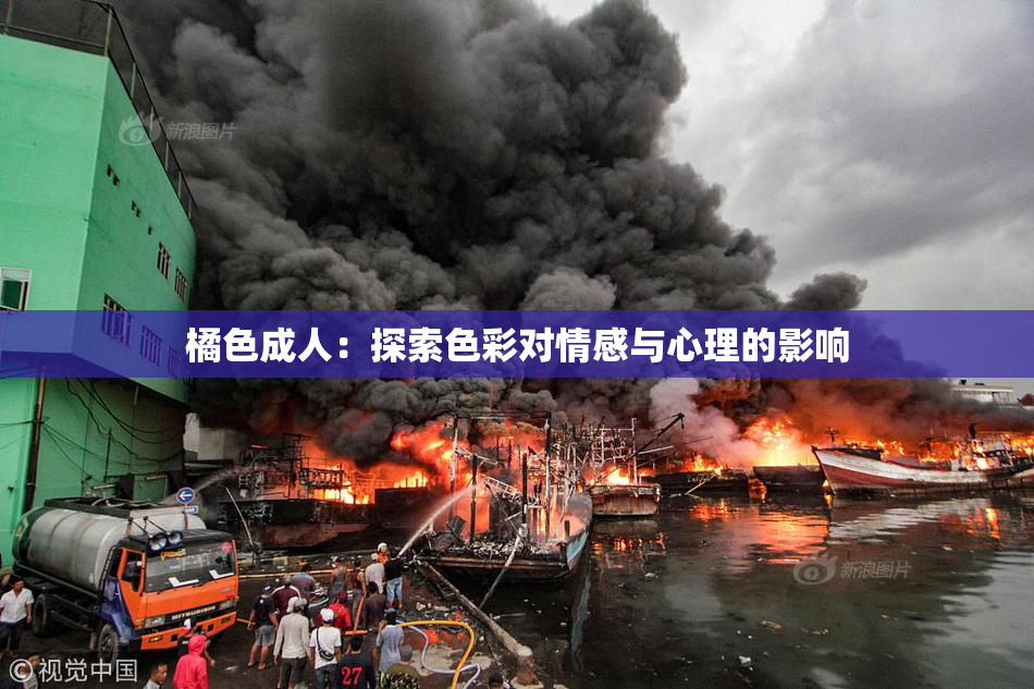 橘色成人：探索色彩对情感与心理的影响