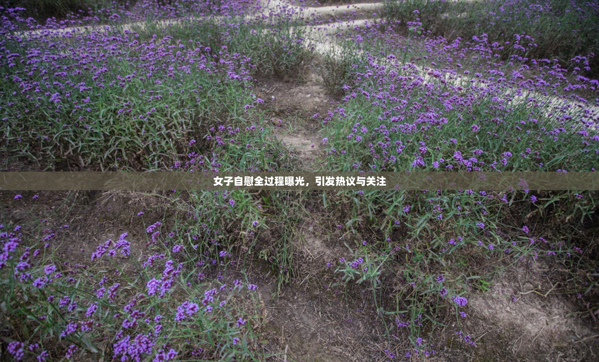 女子自慰全过程曝光，引发热议与关注