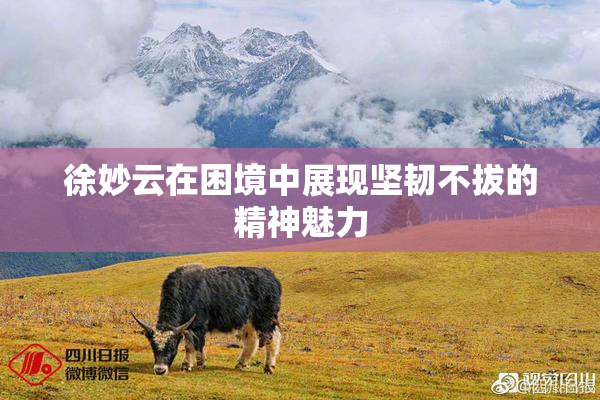 徐妙云在困境中展现坚韧不拔的精神魅力