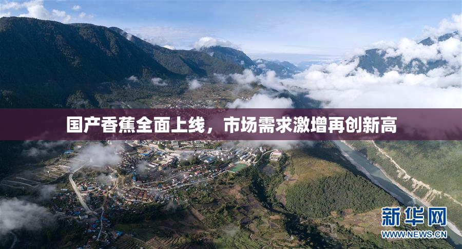国产香蕉全面上线，市场需求激增再创新高